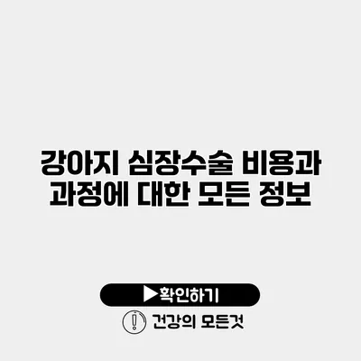 강아지 심장수술 비용과 과정에 대한 모든 정보