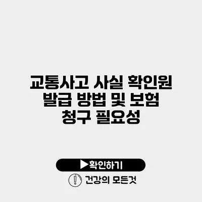 교통사고 사실 확인원 발급 방법 및 보험 청구 필요성