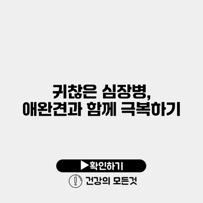 귀찮은 심장병, 애완견과 함께 극복하기