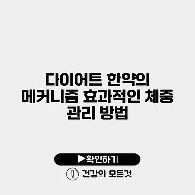 다이어트 한약의 메커니즘 효과적인 체중 관리 방법