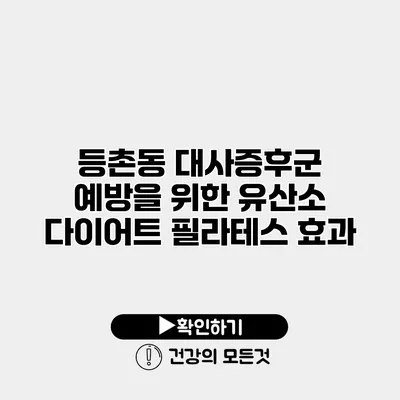 등촌동 대사증후군 예방을 위한 유산소 다이어트 필라테스 효과