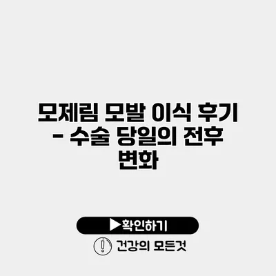 모제림 모발 이식 후기 - 수술 당일의 전후 변화