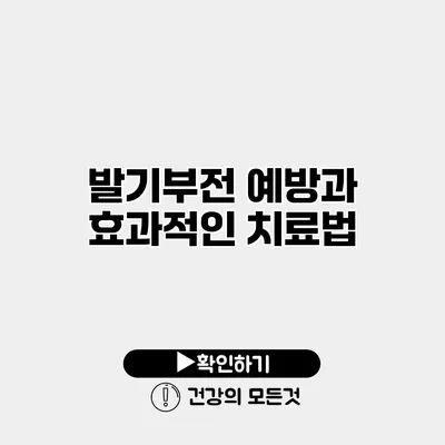 발기부전 예방과 효과적인 치료법