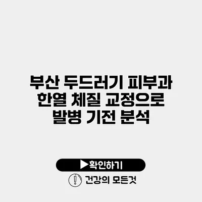 부산 두드러기 피부과 한열 체질 교정으로 발병 기전 분석