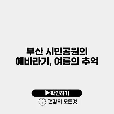 부산 시민공원의 해바라기, 여름의 추억