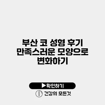 부산 코 성형 후기 만족스러운 모양으로 변화하기