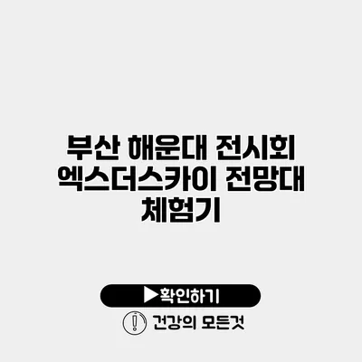 부산 해운대 전시회 엑스더스카이 전망대 체험기
