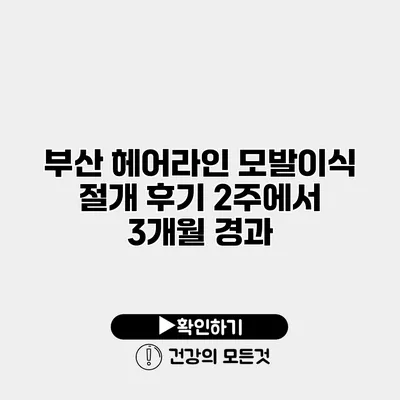 부산 헤어라인 모발이식 절개 후기 2주에서 3개월 경과