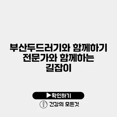 부산두드러기와 함께하기 전문가와 함께하는 길잡이