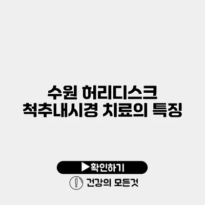 수원 허리디스크 척추내시경 치료의 특징