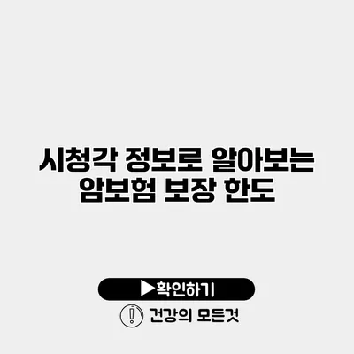 시청각 정보로 알아보는 암보험 보장 한도