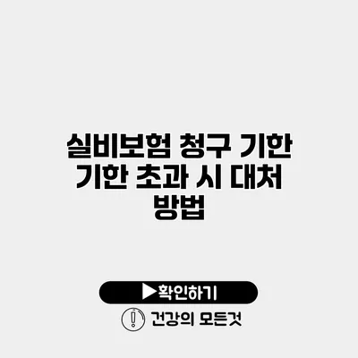 실비보험 청구 기한 기한 초과 시 대처 방법