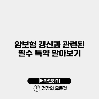 암보험 갱신과 관련된 필수 특약 알아보기
