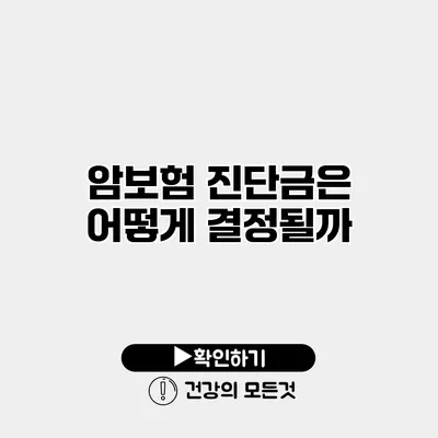 암보험 진단금은 어떻게 결정될까?