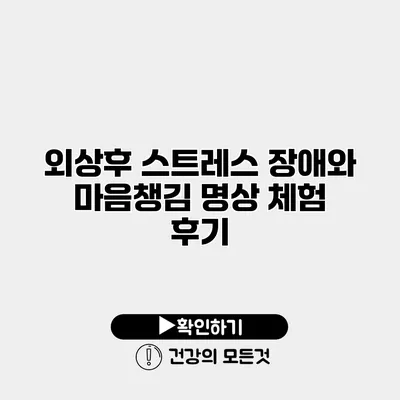 외상후 스트레스 장애와 마음챙김 명상 체험 후기