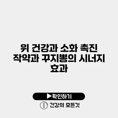 위 건강과 소화 촉진 작약과 꾸지뽕의 시너지 효과
