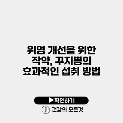 위염 개선을 위한 작약, 꾸지뽕의 효과적인 섭취 방법