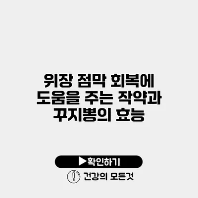 위장 점막 회복에 도움을 주는 작약과 꾸지뽕의 효능
