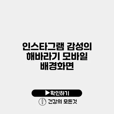 인스타그램 감성의 해바라기 모바일 배경화면