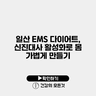 일산 EMS 다이어트, 신진대사 활성화로 몸 가볍게 만들기