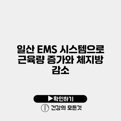 일산 EMS 시스템으로 근육량 증가와 체지방 감소