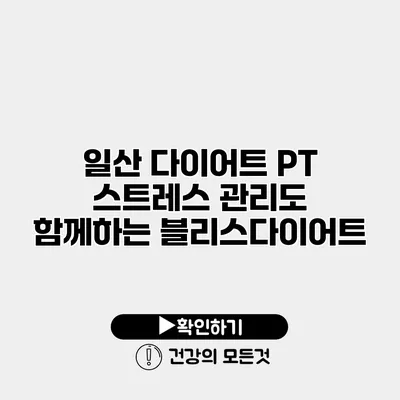 일산 다이어트 PT 스트레스 관리도 함께하는 블리스다이어트