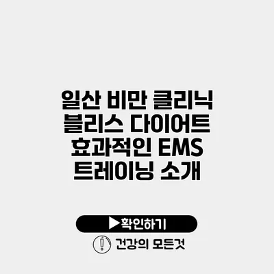 일산 비만 클리닉 블리스 다이어트 효과적인 EMS 트레이닝 소개