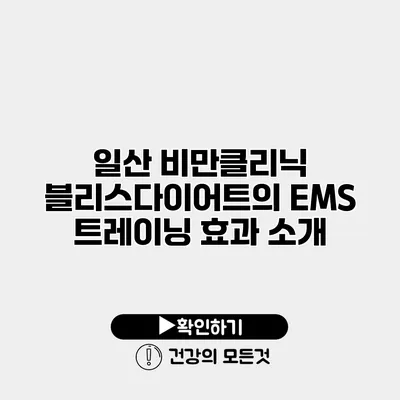 일산 비만클리닉 블리스다이어트의 EMS 트레이닝 효과 소개