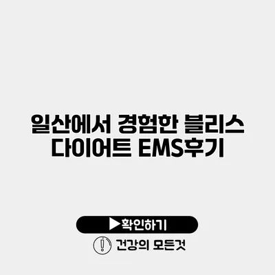 일산에서 경험한 블리스 다이어트 EMS후기