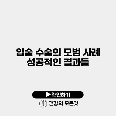 입술 수술의 모범 사례 성공적인 결과들