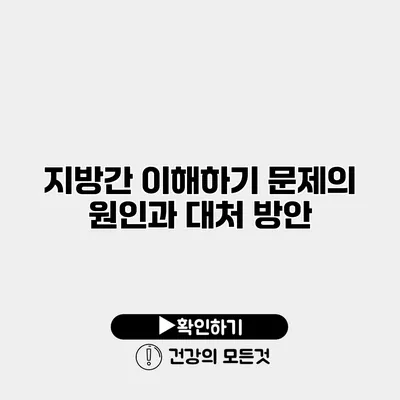 지방간 이해하기 문제의 원인과 대처 방안