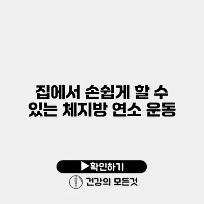 집에서 손쉽게 할 수 있는 체지방 연소 운동