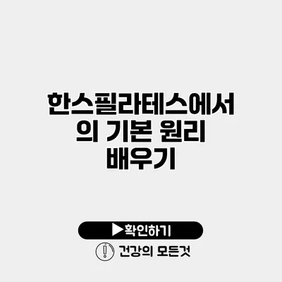 한스필라테스에서의 기본 원리 배우기