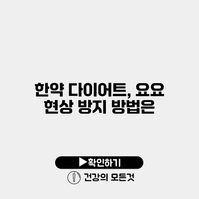 한약 다이어트, 요요 현상 방지 방법은?