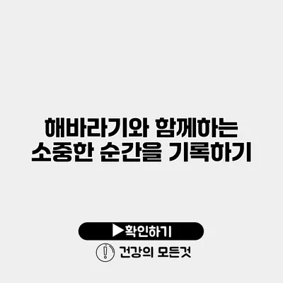 해바라기와 함께하는 소중한 순간을 기록하기