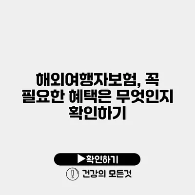해외여행자보험, 꼭 필요한 혜택은 무엇인지 확인하기
