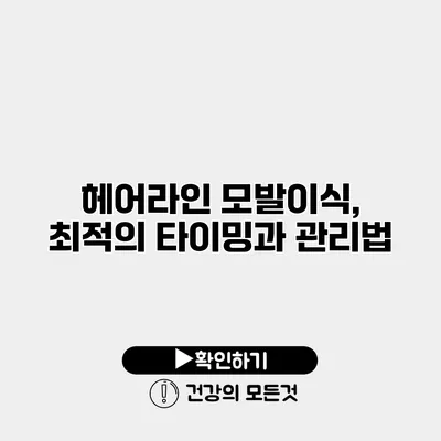 헤어라인 모발이식, 최적의 타이밍과 관리법