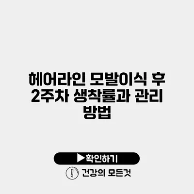 헤어라인 모발이식 후 2주차 생착률과 관리 방법