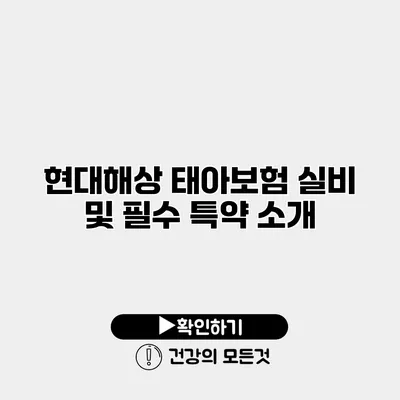 현대해상 태아보험 실비 및 필수 특약 소개