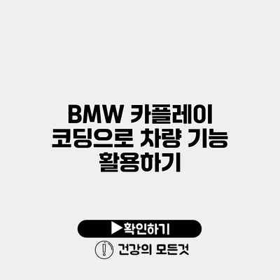 BMW 카플레이 코딩으로 차량 기능 활용하기