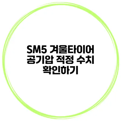 SM5 겨울타이어 공기압 적정 수치 확인하기