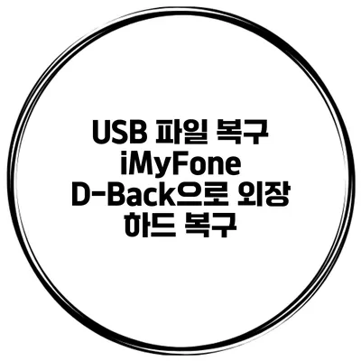 USB 파일 복구 iMyFone D-Back으로 외장 하드 복구