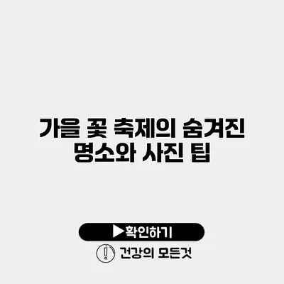 가을 꽃 축제의 숨겨진 명소와 사진 팁