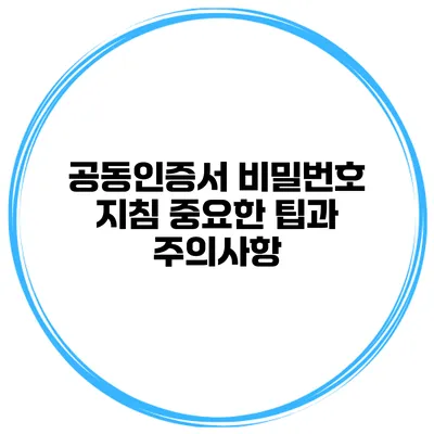 공동인증서 비밀번호 지침 중요한 팁과 주의사항