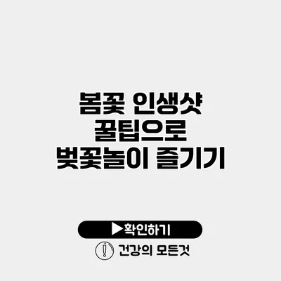 봄꽃 인생샷 꿀팁으로 벚꽃놀이 즐기기