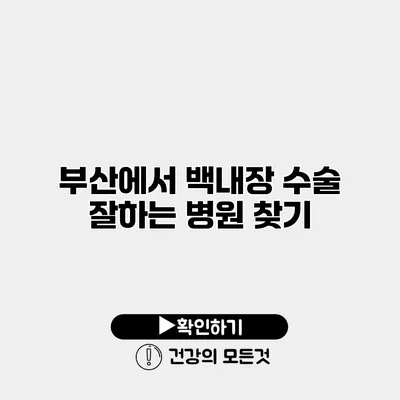부산에서 백내장 수술 잘하는 병원 찾기