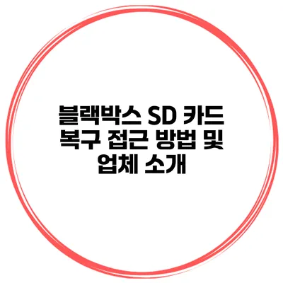 블랙박스 SD 카드 복구 접근 방법 및 업체 소개
