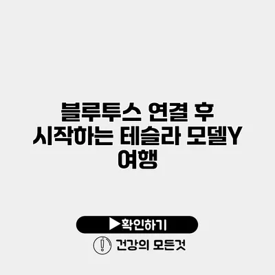 블루투스 연결 후 시작하는 테슬라 모델Y 여행