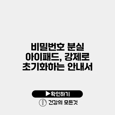 비밀번호 분실 아이패드, 강제로 초기화하는 안내서