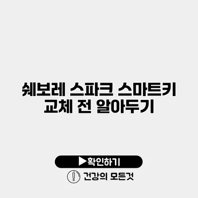 쉐보레 스파크 스마트키 교체 전 알아두기